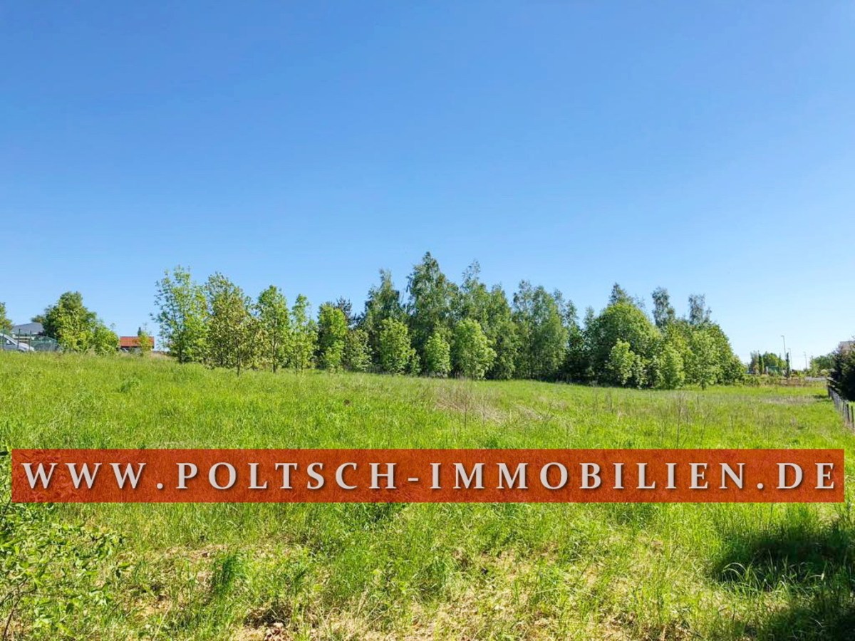 8e2449ea302243fd9d9fc0121602a8af