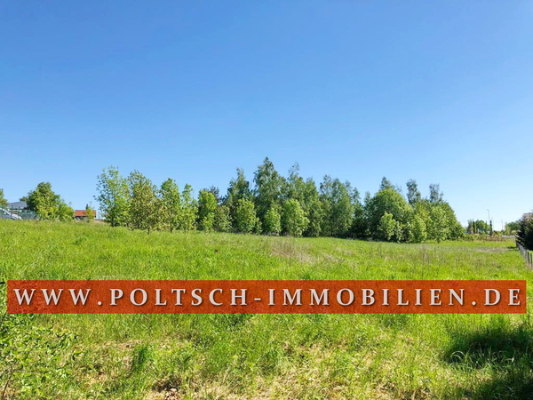 8e2449ea302243fd9d9fc0121602a8af